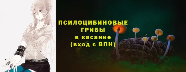 PSILOCYBIN Белоозёрский