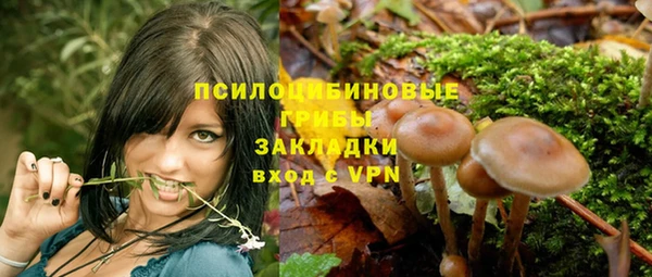 Альфа ПВП Богородск