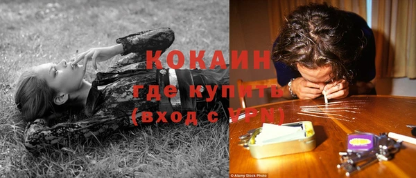 Альфа ПВП Богородск