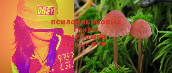 кокс Белокуриха