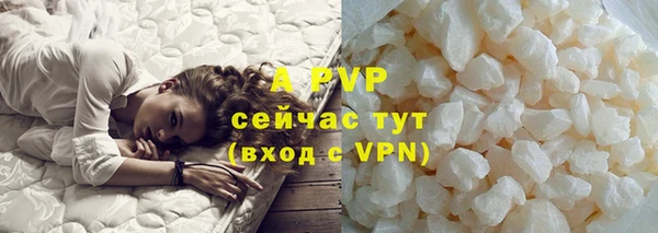PSILOCYBIN Белоозёрский