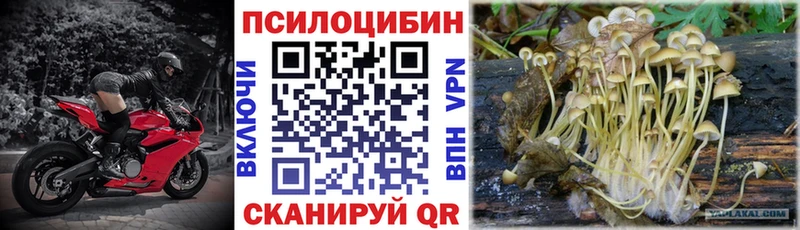 Псилоцибиновые грибы мухоморы маркетплейс клад Горняк